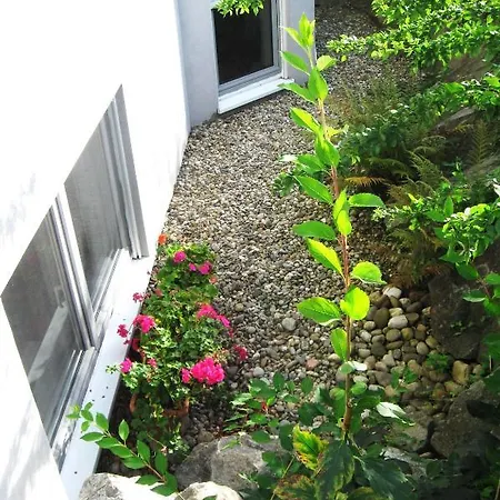 Lissi Nur 5 Min Vom Europa Park Und Direkt Am Naturschutzgebiet 아파트