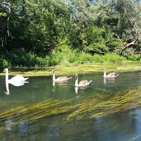 아파트 Lissi Nur 5 Min Vom Europa Park Und Direkt Am Naturschutzgebiet *